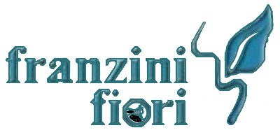 franzini fiori